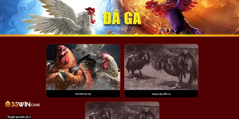 Đá gà trực tuyến kích thích, thú vị chỉ có tại nhà cái 33Win