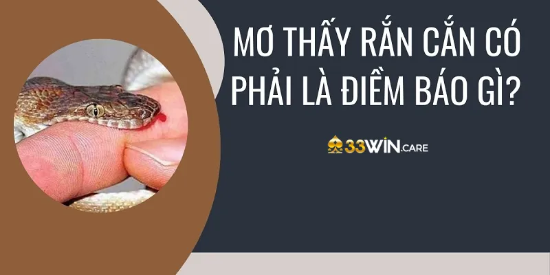 Ý nghĩa biểu tượng của loài rắn 