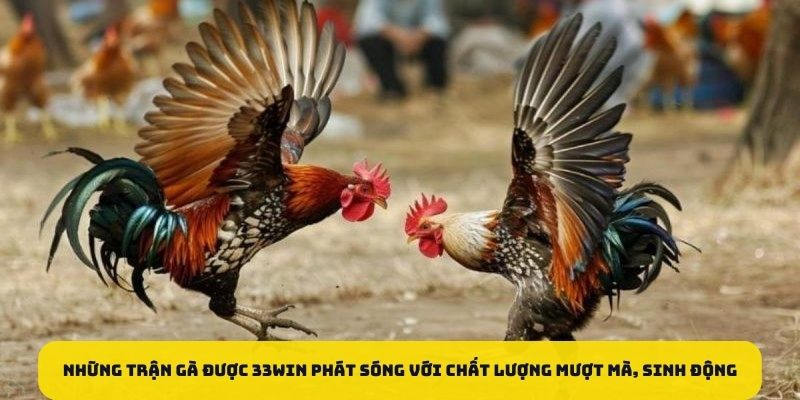 33WIN | Trang Chủ Chính Thức – Link Đăng Nhập Mới Nhất 33WIN 59 Những trận gà được phát sóng với chất lượng mượt mà, sinh động