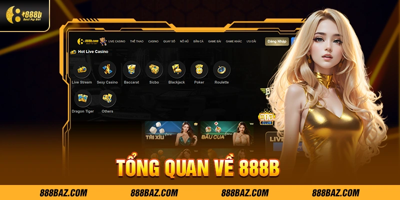  Tổng quan về 888B