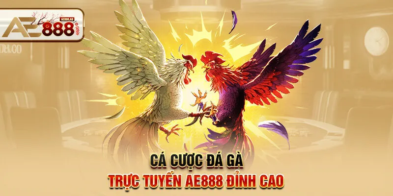 Cá cược đá gà trực tuyến AE888 đỉnh cao