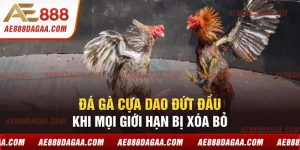 Đá Gà Cựa Dao Đứt Đầu - Khi Mọi Giới Hạn Bị Xóa Bỏ