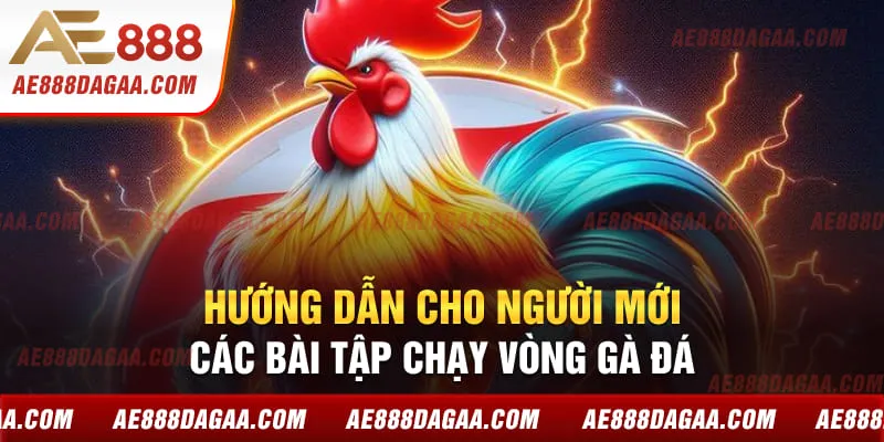 Hướng dẫn cho người mới các bài tập chạy vòng gà đá