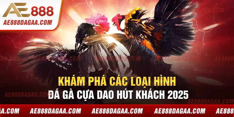 Khám phá các loại hình đá gà cựa dao hút khách 2025