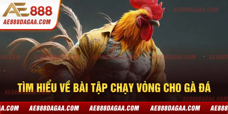 Tìm hiểu về bài tập chạy vòng cho gà đá