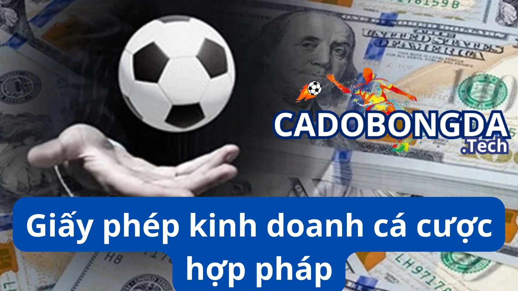 Trang web cá độ bóng đá uy tín có giấy phép hoạt động hợp pháp Trang web cá độ bóng đá uy tín có giấy phép hoạt động hợp pháp