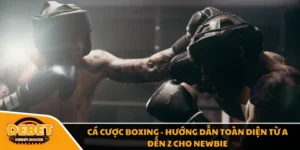 Cá Cược Boxing - Hướng Dẫn Toàn Diện Từ A Đến Z Cho Newbie