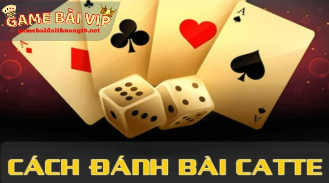 Cách chơi bài catte luật gục tùng