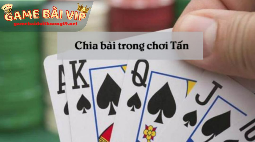 Cách chơi bài tấn: quy định về chia