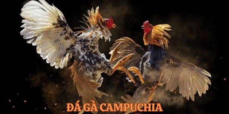 Cac Trang Web Da Ga Thomo Uy Tin