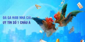 Chia Se Kinh Nghiem Da Ga Truc Tiep Tai Hi88