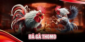 Da Ga Thomo Campuchia Hi88