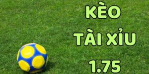 Keo Tai Xiu 1 75 Tai Hi88