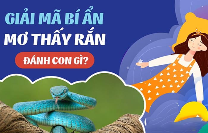 Giải mã giấc mơ: bà bầu nằm mơ thấy rắn đánh con gì? Giải mã giấc mơ: bà bầu nằm mơ thấy rắn đánh con gì?