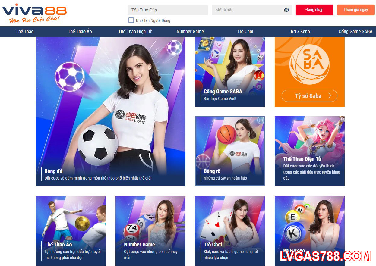 Bong88/Viva88 - Cá cược thể thao