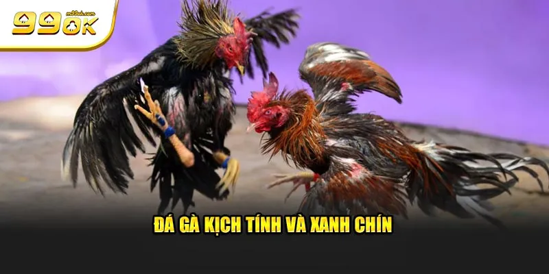 da-ga-kich-tinh-va-xanh-chin.webp