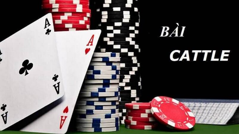 Trường hợp chơi bài Cách Tê trực tuyến