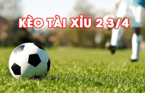 Cách chơi kèo tài xỉu với những tỷ lệ khác nhau