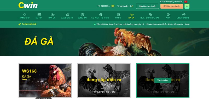 Tham gia chơi đá gà tại cổng game đang là lựa chọn hàng đầu của nhiều người
