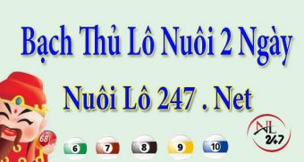 Bạch thủ lô nuôi khung 2 ngày Bạch thủ lô nuôi khung 2 ngày