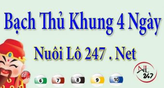 Bạch thủ lô nuôi khung 4 ngày Bạch thủ lô nuôi khung 4 ngày