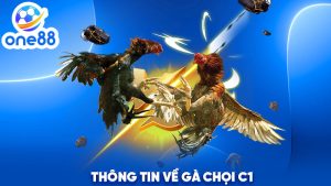 Thông tin về gà chọi C1