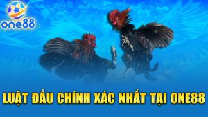 Luật thi đấu chính xác nhất tại One88