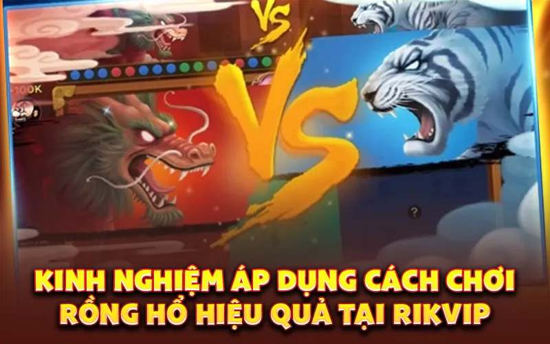Kinh nghiệm áp dụng cách chơi rồng hổ hiệu quả tại rikvip