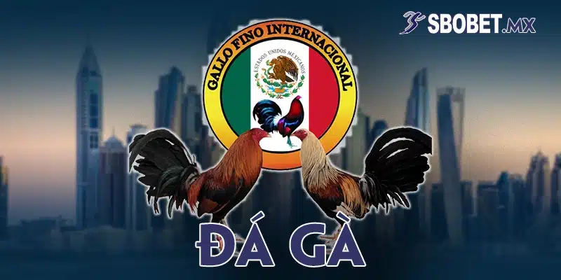 đá gà sbobet