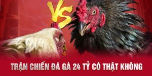 Trận Đá Gà 24 Tỷ