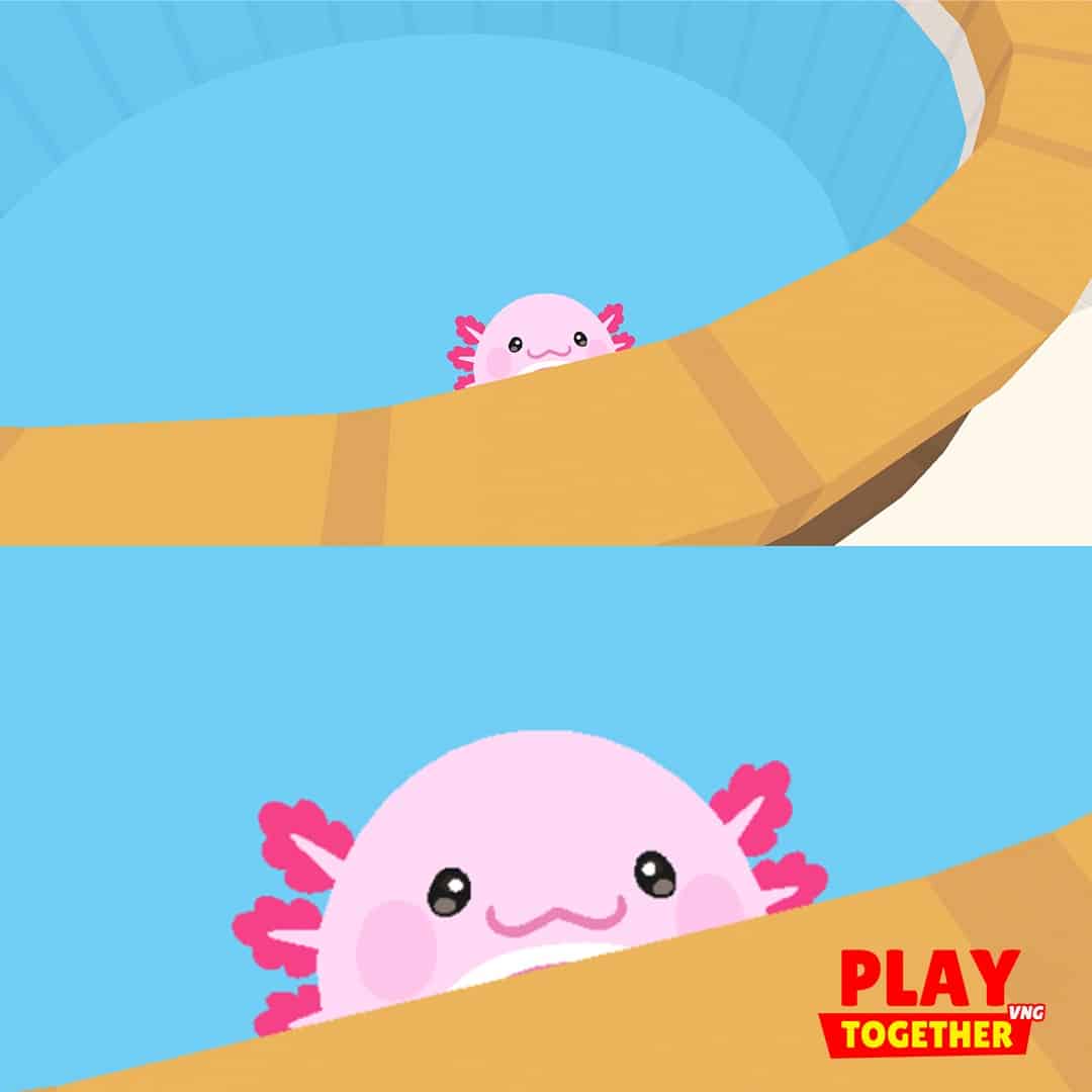 Hình nền Play Together cute dễ thương đáng yêu