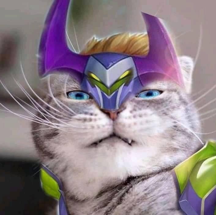 avatar mèo liên quân nakroth