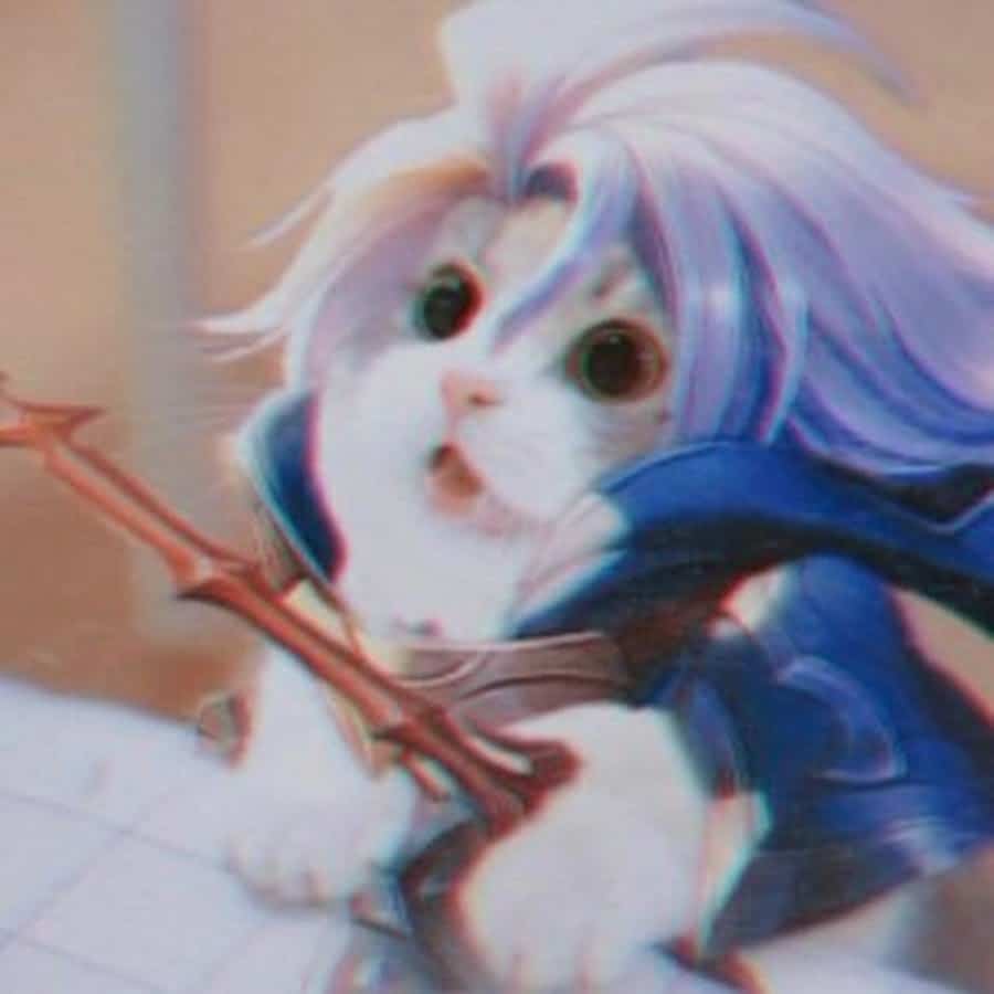 Avatar mèo Liên Quân Allain