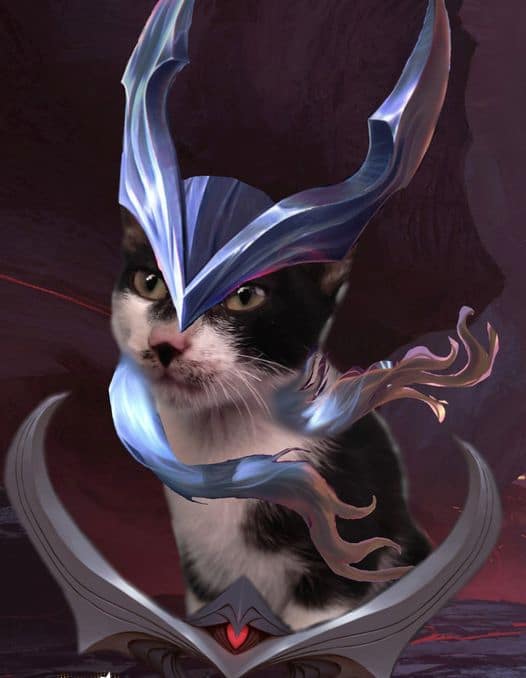 Avatar mèo Liên Quân Nakroth ngầu
