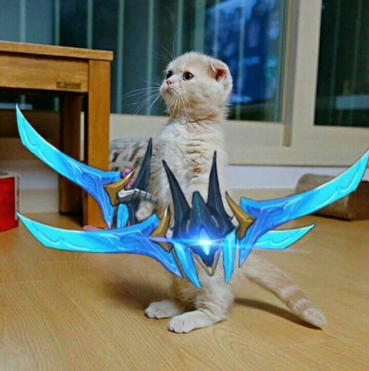 Avatar mèo Liên Quân Nakroth