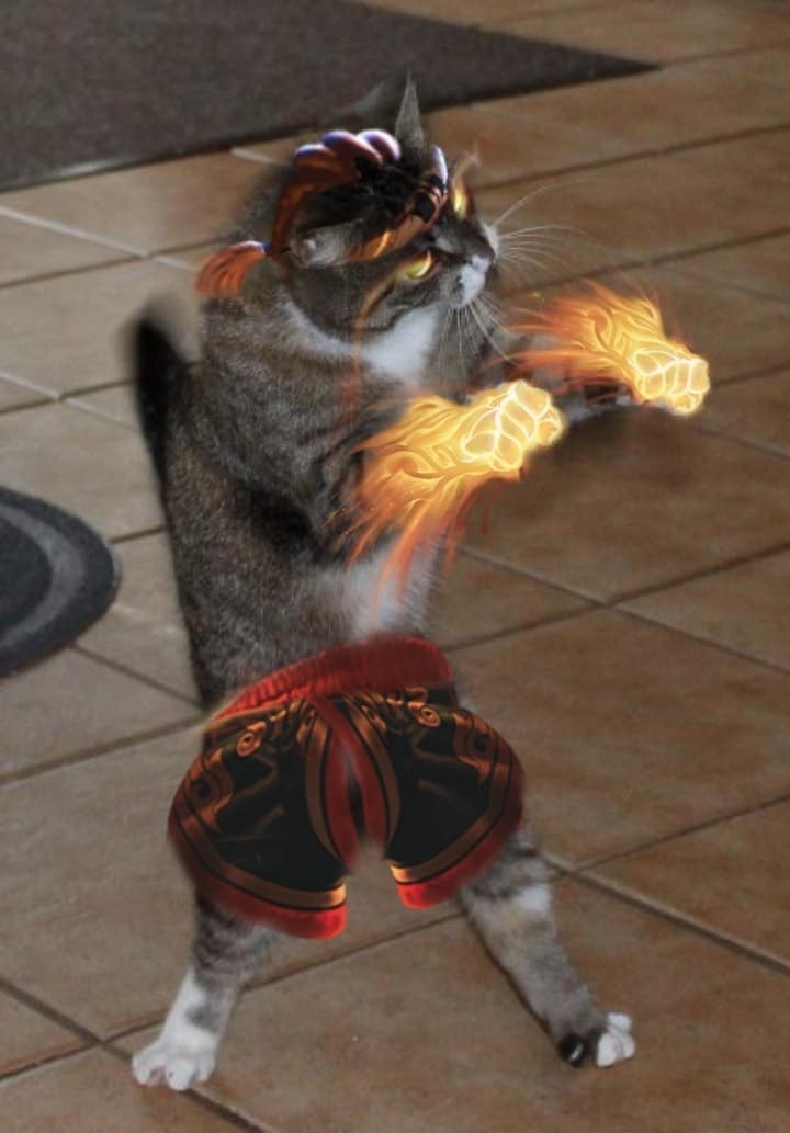Avatar mèo Liên Quân Raz