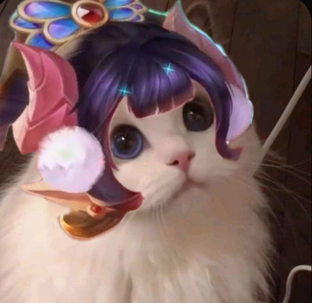 Avatar mèo Liên Quân cute dễ thương