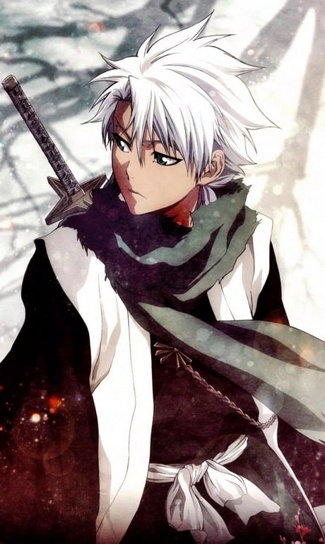 Hinh Bright Lien Quan Toshiro