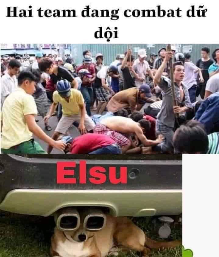 Hình Elsu chế hài hước