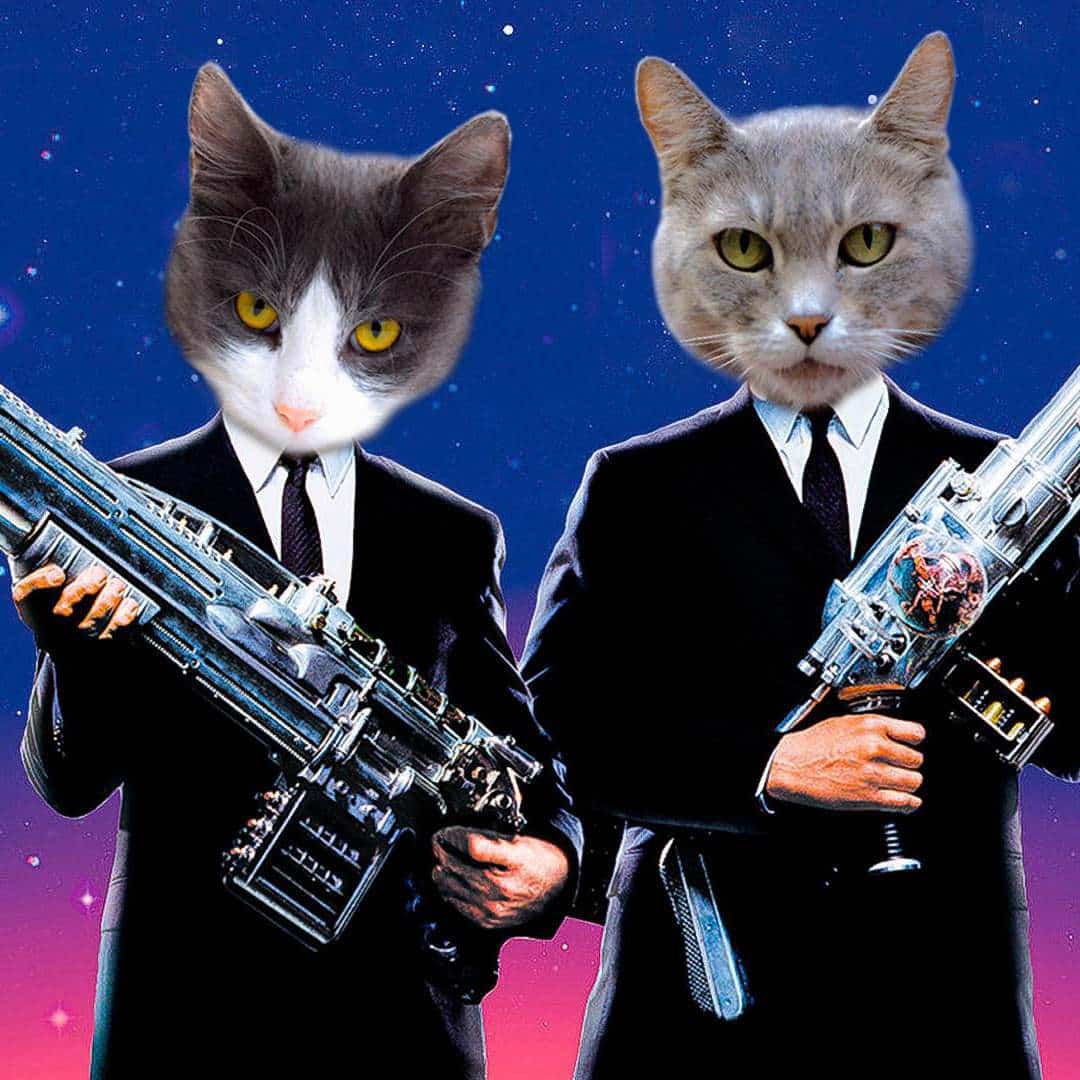 Hình avatar mèo FF