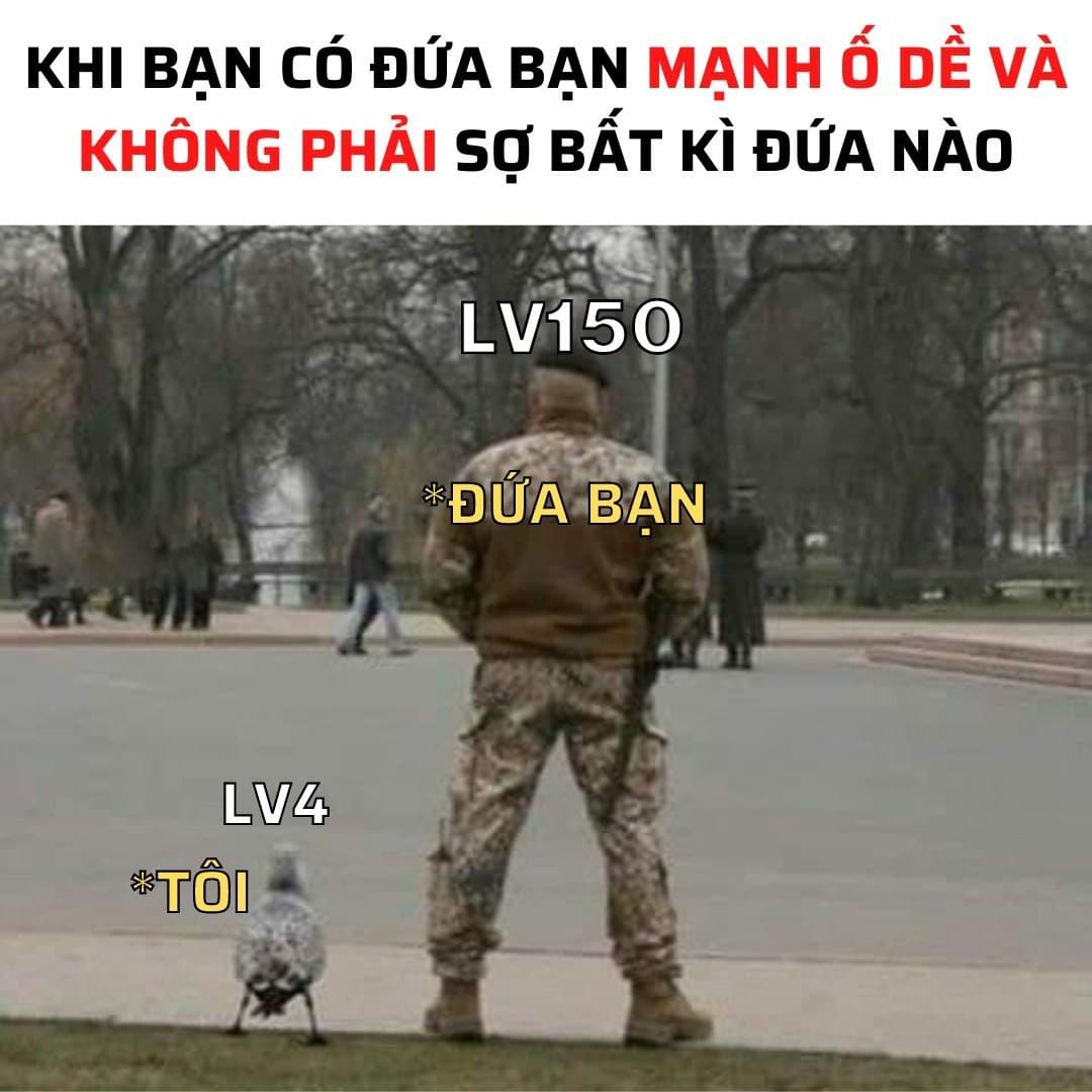 Hình chế Truy kích hài hước