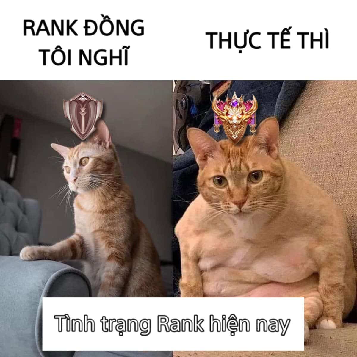 Hình chế rank Liên Quân hài hước