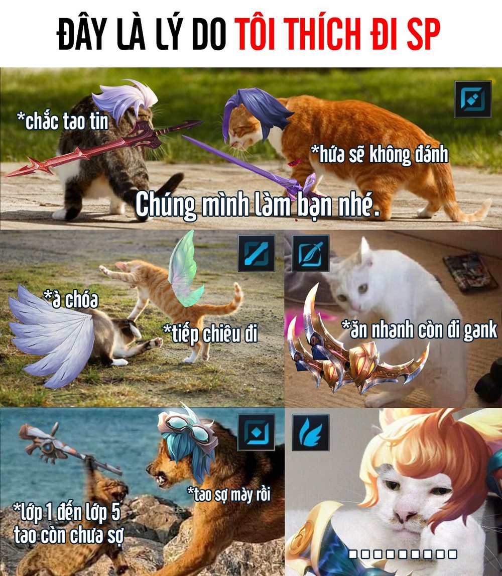 Hình ghép mèo Liên Quân