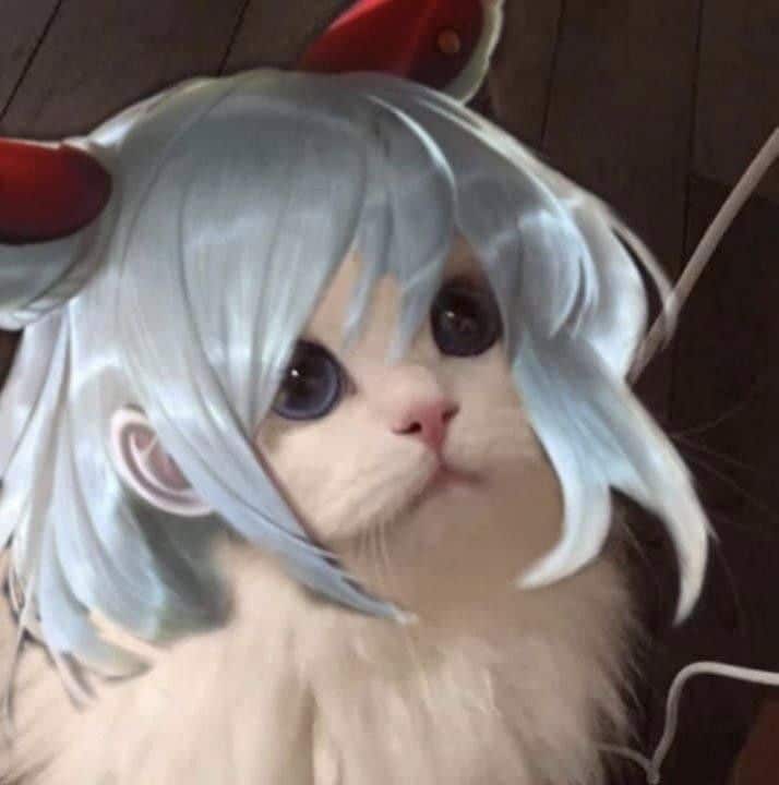Hình meme mèo Liên Quân đáng yêu