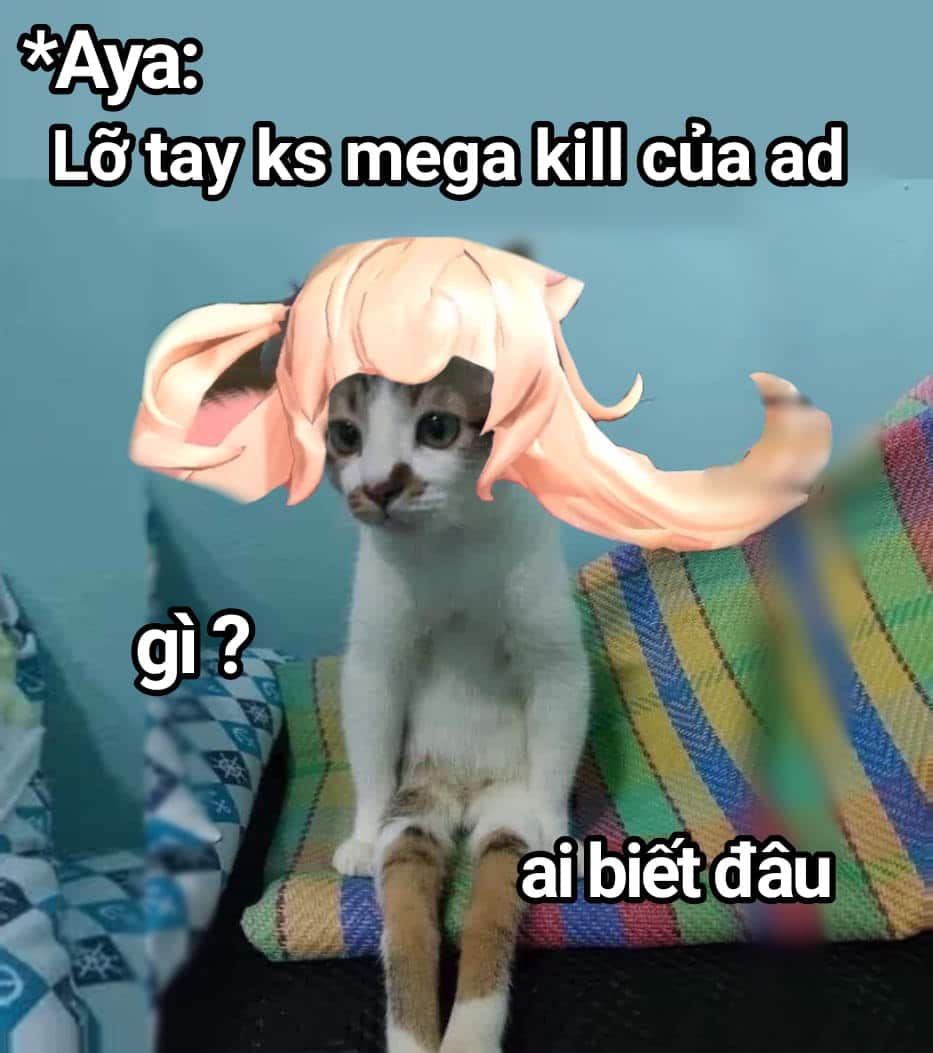 Hình mèo Liên Quân Aya