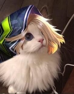 Hinh meo Lien Quan Butterfly cute