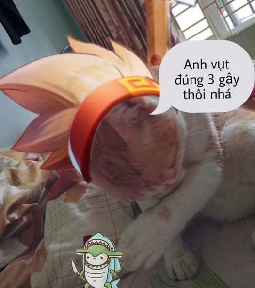 Hình mèo Liên Quân Ngộ Không dễ thương