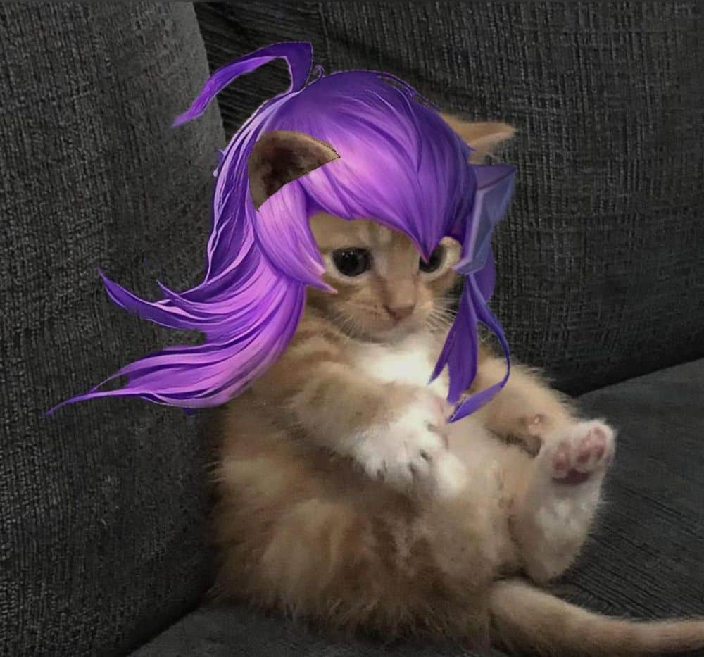 Mèo Liên Quân Zata cute