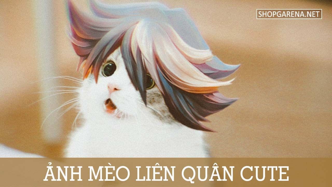 anh meo lien quan