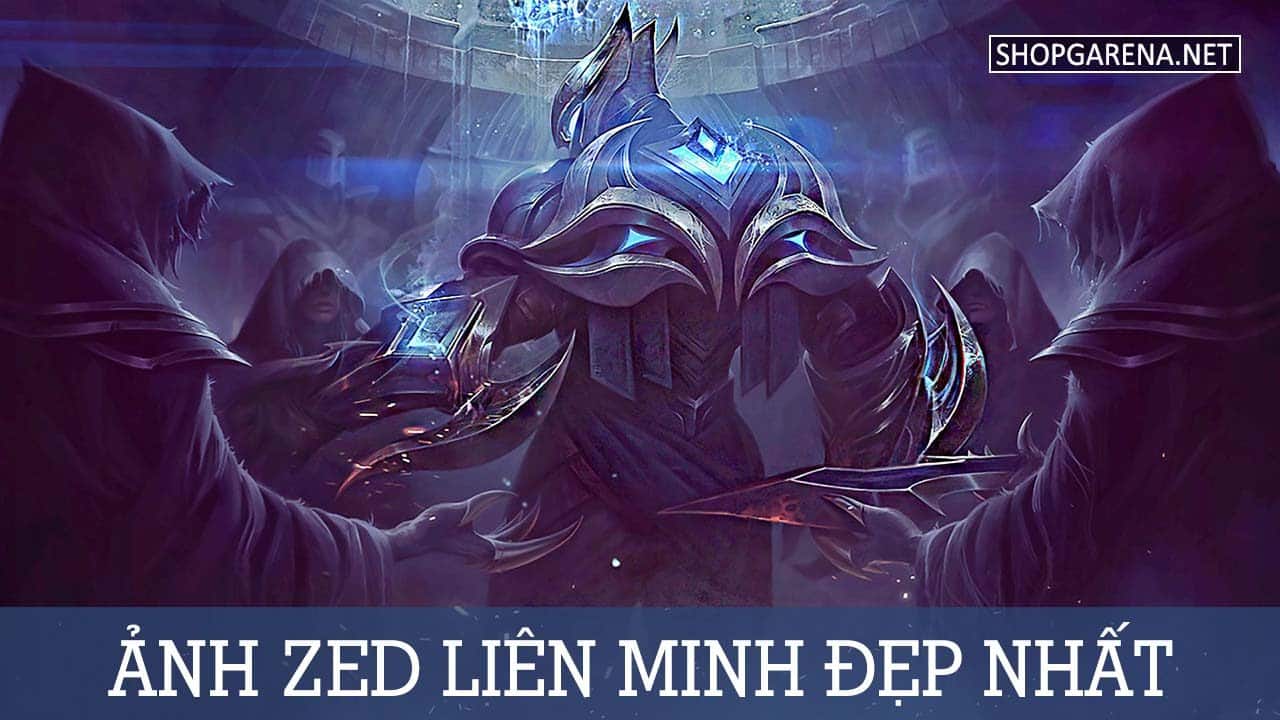 anh zed